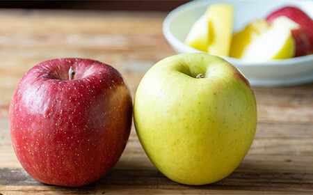 サンふじ・ぐんま名月 詰め合わせ 特選(大玉) 約3kg 【留長果樹園】 2種セット F21U-051