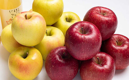 サンふじ・ぐんま名月 詰め合わせ 特選(大玉) 約3kg 【留長果樹園】 2種セット F21U-051