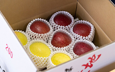 サンふじ・ぐんま名月 詰め合わせ 特選(大玉) 約3kg 【留長果樹園】 2種セット F21U-051