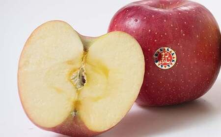 最高級（超大玉） 青森産 完熟 りんご サンふじ 約5kg 化粧箱入り 【誠果園】 F21U-384