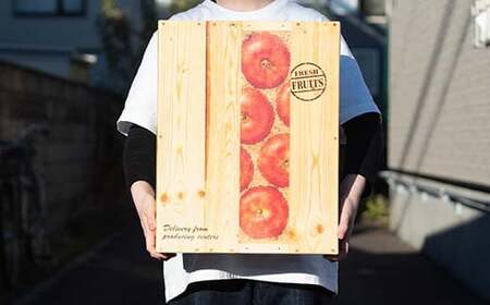 最高級（超大玉） 青森産 完熟 りんご サンふじ 約5kg 化粧箱入り 【誠果園】 F21U-384