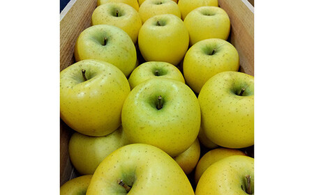 青森りんご シナノゴールド約5kg 【マルス果樹園】 F21U-086