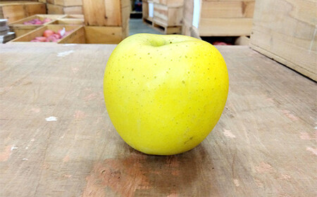 青森りんご シナノゴールド約5kg 【マルス果樹園】 F21U-086