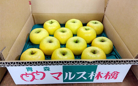 青森りんご シナノゴールド約5kg 【マルス果樹園】 F21U-086