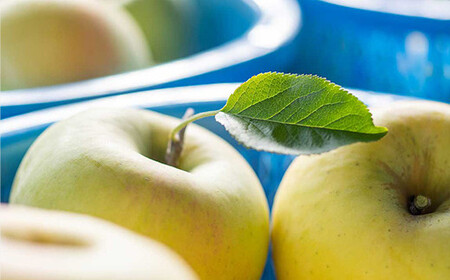 ぐんま名月（中玉） 約3kg ［10～11個入］ 【留長果樹園】 F21U-215