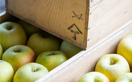 ぐんま名月（中玉） 約3kg ［10～11個入］ 【留長果樹園】 F21U-215