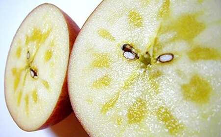 青森県南部町産 濃厚りんごサンふじ 約5kg 【アグリーデザイン】 スタンダード F21U-035