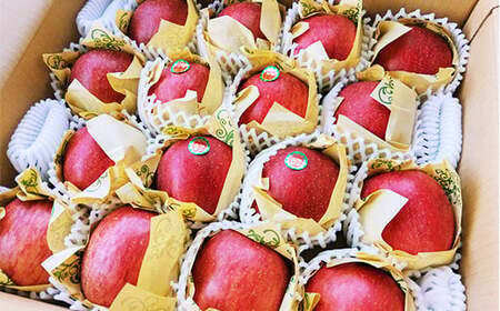 青森県南部町産 濃厚りんごサンふじ 約5kg 【アグリーデザイン】 スタンダード F21U-035