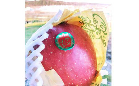 青森県南部町産 濃厚りんごサンふじ 約5kg 【アグリーデザイン】 スタンダード F21U-035