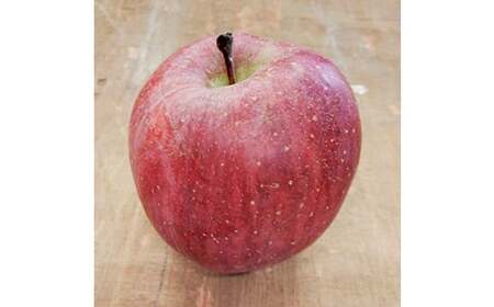 青森りんご サンふじ 秀品 約５kg（12～18玉）【マルス果樹園】 F21U-270