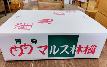 青森りんご サンふじ 秀品 約５kg（12～18玉）【マルス果樹園】 F21U-270