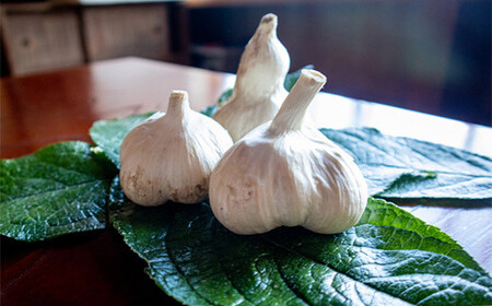 有機JAS認証 にんにく Sサイズ 約1kg (16～21個) 【和楽堂りんご養生農苑】 オーガニック 無農薬 F21U-404