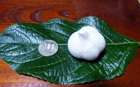 有機JAS認証 にんにく Sサイズ 約1kg (16～21個) 【和楽堂りんご養生農苑】 オーガニック 無農薬 F21U-404