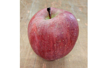 《訳あり》青森りんご サンふじ 約５kg（16～20玉） 【マルス果樹園】 F21U-282