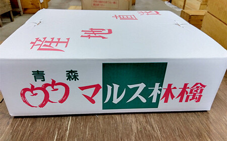 《訳あり》青森りんご サンふじ 約５kg（16～20玉） 【マルス果樹園】 F21U-282