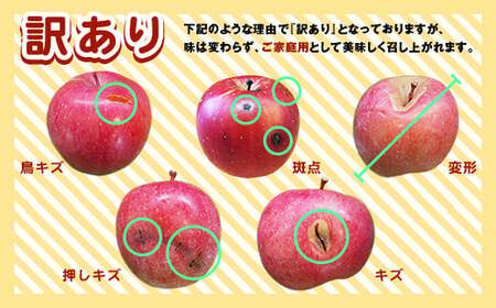 《訳あり》 有機JAS認証 サンふじ りんご 約3kg 【和楽堂りんご養生農苑】 オーガニック 無農薬 F21U-286