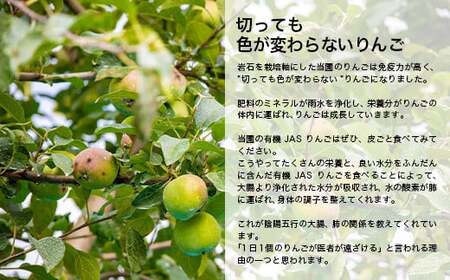 《訳あり》 有機JAS認証 サンふじ りんご 約3kg 【和楽堂りんご養生農苑】 オーガニック 無農薬 F21U-286