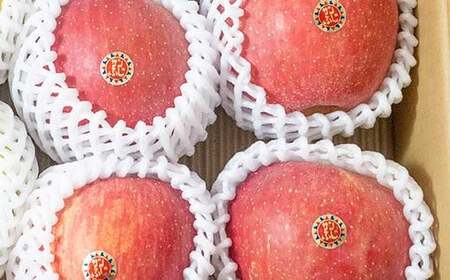 特選 (大玉) 青森産 完熟 りんご サンふじ 約10kg 【誠果園】 F21U-387