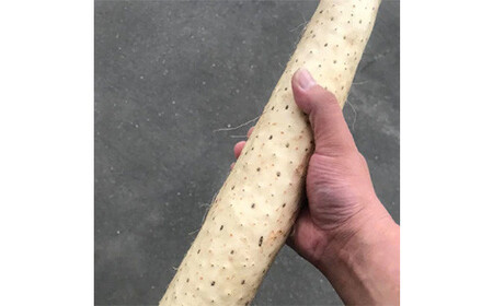 青森県産 長いも　トロトロとろろ　600g(100g×6パック) 【なんぶ農援】便利な小分けパック 無添加 F21U-257