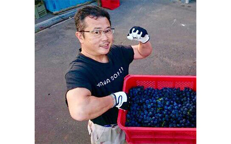 ≪定期便≫ジュース職人こだわり ぶどうジュース100％ストレート(無添加) 3本入×3ヶ月連続 【名川果汁】 F21U-273