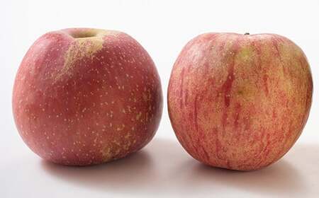 【訳あり】 青森産 完熟 りんご サンふじ （中～大玉） 約10kg 【誠果園】 F21U-389