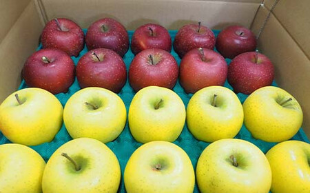 青森りんご サンふじ・シナノゴールド 約5kg （小玉20個） 【マルス果樹園】 F21U-465