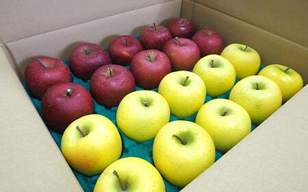 青森りんご サンふじ・シナノゴールド 約5kg （小玉20個） 【マルス果樹園】 F21U-465