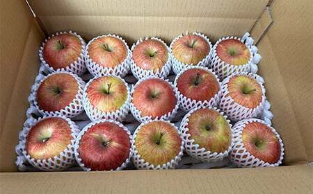 《家庭用》 葉とらずりんご サンふじ 約4.5kg 【四戸農園】 減農薬 有機肥料 F21U-504