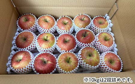 《家庭用》 葉とらずりんご サンふじ 約10kg 【四戸農園】 減農薬 有機肥料 F21U-505