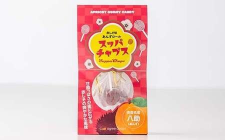 スッパチャプス&農家ドライグミ(赤しそ味・杏味) セット ≪アグリーデザイン≫ F21U-517