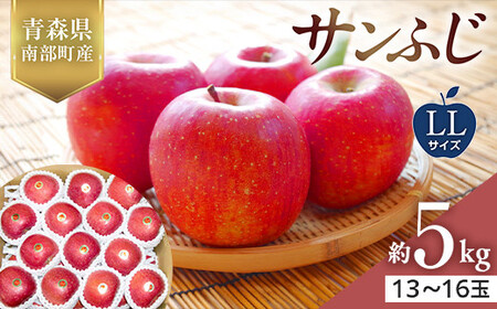 青森県産 りんご サンふじ LLサイズ 5kg 【佐々木あきおはるこ農園】 F21U-546