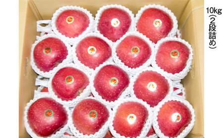 青森県産 りんご サンふじ LLサイズ 10kg 【佐々木あきおはるこ農園】 F21U-550
