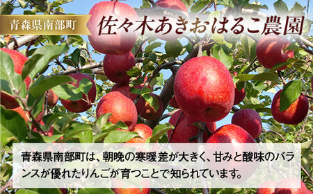 青森県産 りんご サンふじ LLサイズ 10kg 【佐々木あきおはるこ農園】 F21U-550