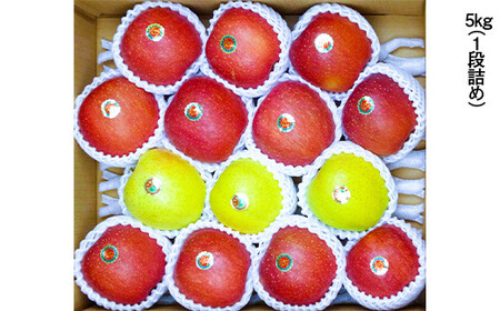 青森県産 りんご サンふじ(3/4)・王林(1/4)セット LLサイズ 5kg 【佐々木あきおはるこ農園】 F21U-554