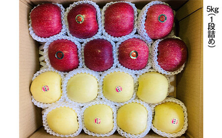 青森県産 りんご サンふじ(1/2)・はるか(1/2)セット Lサイズ 5kg (各2.5kg) 【佐々木あきおはるこ農園】 F21U-568