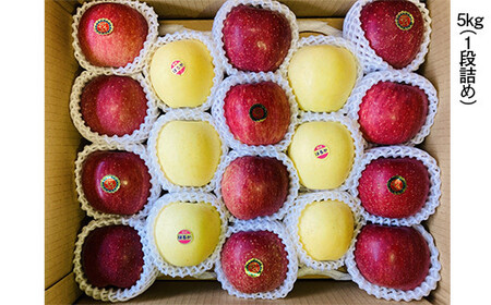 青森県産 りんご サンふじ(3/4)・はるか(1/4)セット Mサイズ 5kg 【佐々木あきおはるこ農園】 F21U-575