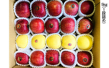 青森県産 りんご サンふじ(3/4)・はるか(1/4)セット Sサイズ 5kg 【佐々木あきおはるこ農園】 F21U-576