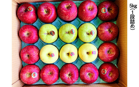 青森県産 りんご サンふじ・はるか・王林 (自分ご褒美セット) 5kg 【佐々木あきおはるこ農園】 F21U-580