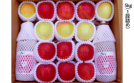 青森県産 りんご サンふじ・王林＆りんごジュース (農園セット) 5kg 【佐々木あきおはるこ農園】 F21U-582