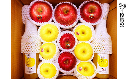 青森県産 りんご サンふじ・はるか＆りんごジュース (農園セットスペシャル) 5kg 【佐々木あきおはるこ農園】 F21U-584