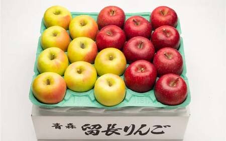 サンふじ・ぐんま名月 詰め合わせ (中玉) 約5kg ［18-20個入］ 【留長果樹園】 F21U-600