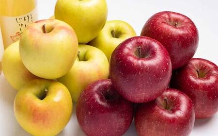 サンふじ・ぐんま名月 詰め合わせ (中玉) 約5kg ［18-20個入］ 【留長果樹園】 F21U-600