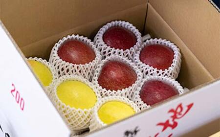 サンふじ・ぐんま名月 詰め合わせ (中玉) 約5kg ［18-20個入］ 【留長果樹園】 F21U-600