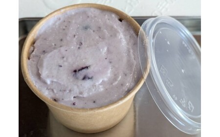 階上町産ミルクベースのジェラート　階上町オリジナル４種詰め合わせ（ミルク、ブルーベリー、早生そば、フクノスケ）