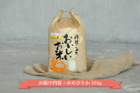 《令和5年産》三笠産のおいしい米 ゆめぴりか(10kg)【01012】