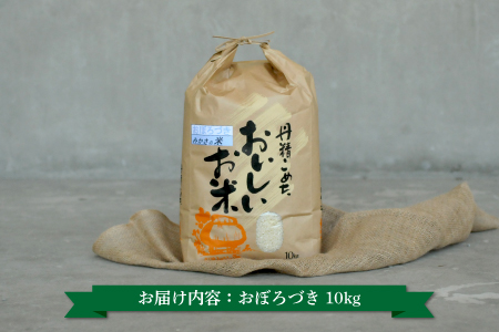 《令和5年産》三笠産のおいしい米　おぼろづき(10kg)【01013】