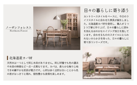 ノーザンフォレストデスクキャビネットNC540【0809601】