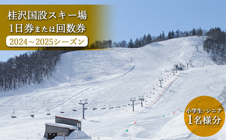 桂沢国設スキー場1日券または回数券(2022~2023シーズン)小学生・シニア1名様分【13010】