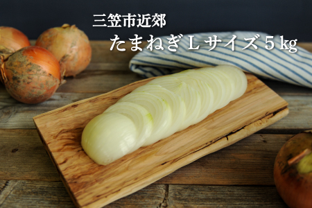 三笠市近郊たまねぎLサイズ5kg【33002】