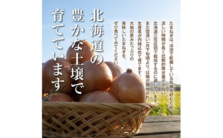 三笠aroundたまねぎLサイズ10kg《11月下旬頃より発送予定》【3300402】